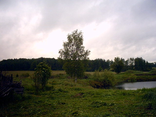 foto002.JPG